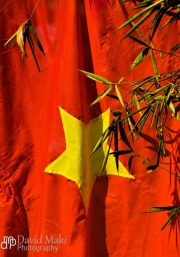 Bamboo Leaves in Front of Vietnam Flag