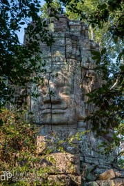 Faces in the Jungle of Angkor