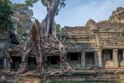 Ruins at the City of Angkor