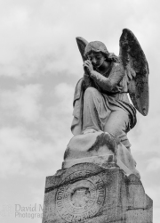 Angel Statue in New Orleans Cemetery