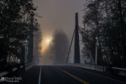 Bridge Under a Foggy Sunrise